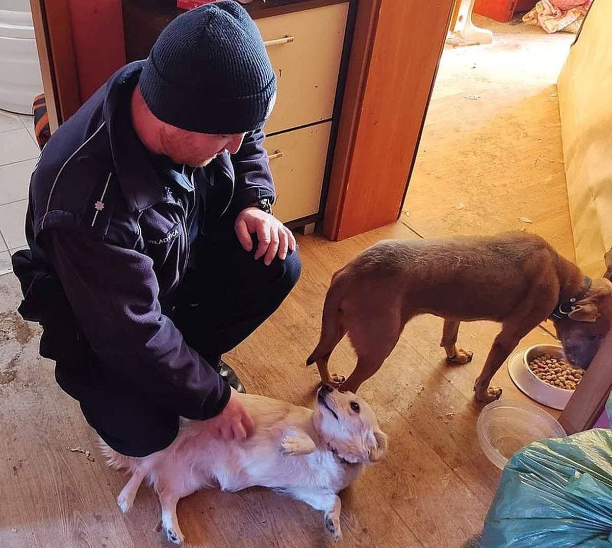 Do trzech lat więzienia grozi 26-letniej mieszkance Malborka, która pozostawiła swoje zwierzęta na kilka dni bez opieki. Interweniujący policjanci w mieszkaniu zastali 2 psy i szynszylę bez jedzenia i wody. Pieski trafiły do tczewskiego schroniska, a szynszylą zaopiekowało się Malborskie Stowarzyszenie Przyjaciół Zwierząt „Reks”. Właścicielka została zatrzymana i usłyszała zarzut o znęcaniu się nad zwierzętami zastosowano wobec niej policyjny dozór.