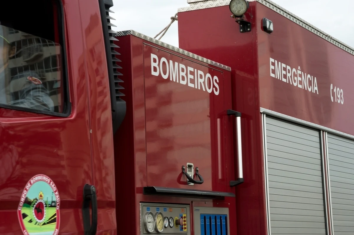 24 osoby zginęły w zderzeniu tira z autokarem przewożącym turystów w pobliżu miasta Gaviao, w stanie Bahia, na wschodzie Brazylii - poinformowały tamtejsze władze. Większość ofiar śmiertelnych to wczasowicze.