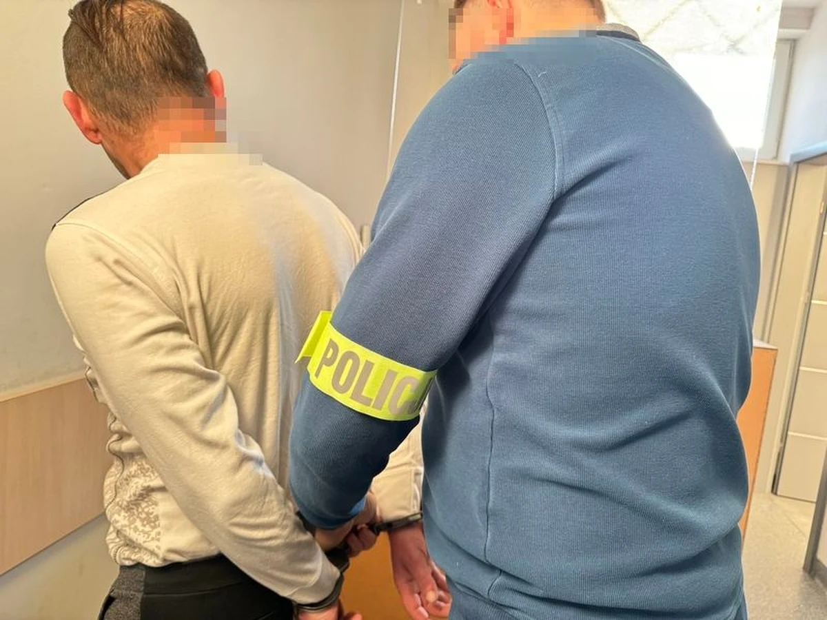 Policjanci otrzymali zgłoszenie o kradzieży 28 gołębi z gołębnika w Rumi ( Pomorskie). Rasowe ptaki były gołębiami wystawowymi. Mundurowi wpadli na trop złodzieja, który podczas ucieczki z miejsca kradzieży, gubił po drodze karmę dla ptaków. 48-latek został szybko zatrzymany, a większość ptaków zostało odzyskanych. Straty oszacowano na kwotę prawie 15 tys. zł.