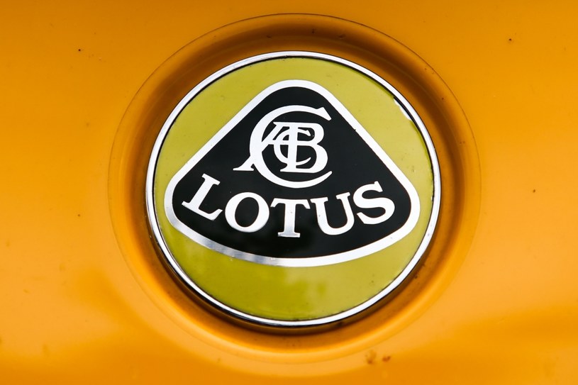 Lotus - najważniejsze informacje