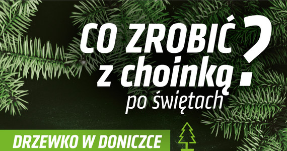 W Lublinie rusza poświąteczna zbiórka drzewek w doniczkach. Kiedy tylko pozwoli na to pogoda świerki i jodły, które podczas świąt stały w domach, zostaną posadzone w gruncie. Żywe drzewka do 9 lutego można dostarczać do Punktu Selektywnego Zbierania Odpadów Komunalnych. 

