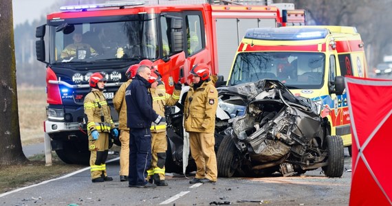28- i 19-latek zginęli w wypadku drogowym w Odolanowie (Wielkopolskie). Cztery osoby, w tym kilkumiesięczne dziecko, trafiły do okolicznych szpitali - poinformowała oficer prasowa ostrowskiej policji mł. asp. Ewa Golińska-Jurasz.