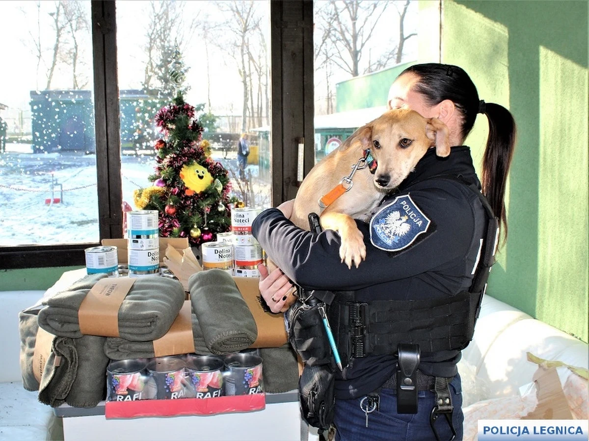 Policjantka z Prochowic na Dolnym Śląsku przekazała zadośćuczynienie, które przyznał jej sąd, na karmę i koce do schroniska dla bezdomnych zwierząt w Legnicy. Funkcjonariuszka podczas interwencji w listopadzie 2022 roku została znieważona i ugryziona w rękę przez jednego z mieszkańców. 