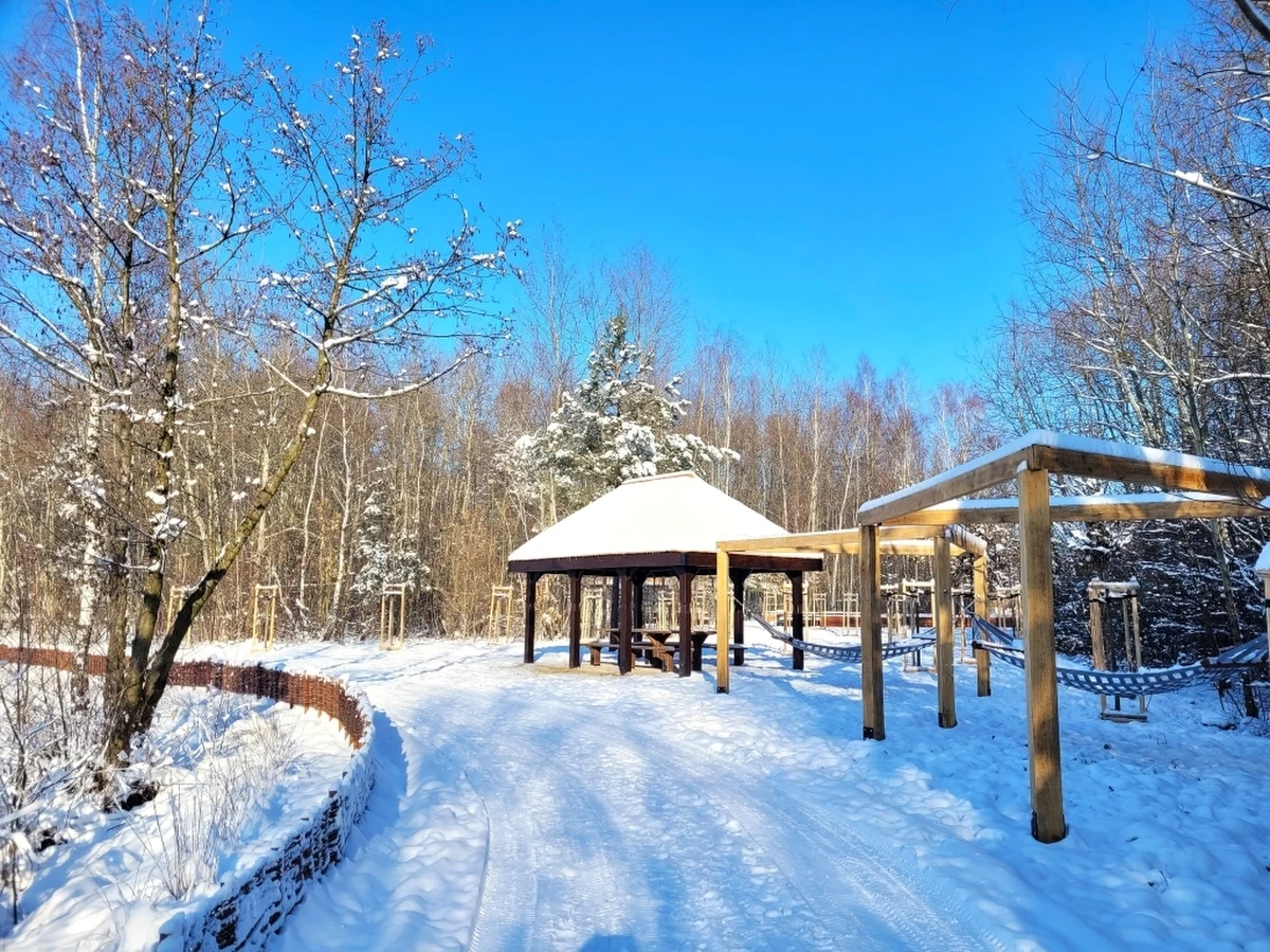 Park rzeczny Tetmajera jest już prawie gotowy a Zarząd Zieleni Miejskiej rozpoczyna procedurę związaną ze zgłoszeniem zakończenia budowy. Oficjalne otwarcie zaplanowano na maj. Park zajmuje powierzchnię wzdłuż ul. Tetmajera – od parkingu aż po zbiornik wodny Pasternik i teren leśny graniczący z uroczyskiem w Rząsce.