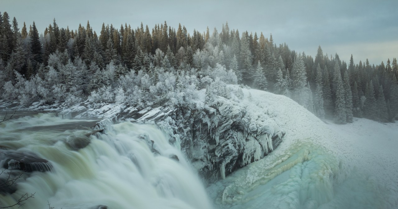Wyłoniły się z topniejącego lodu. Naukowcy zdumieni