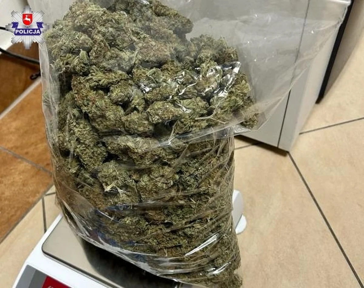 3 kg marihuany i amfetaminy - tyle lubelska policja znalazła m.in. w mieszkaniach dwóch mężczyzn w wieku 40 i 68 lat. Zostali oni zatrzymani przez mundurowych przed weekendem. Dzisiaj sąd wydał nakaz tymczasowego aresztu. Za handel narkotykami grozi im teraz do 12 lat więzienia.