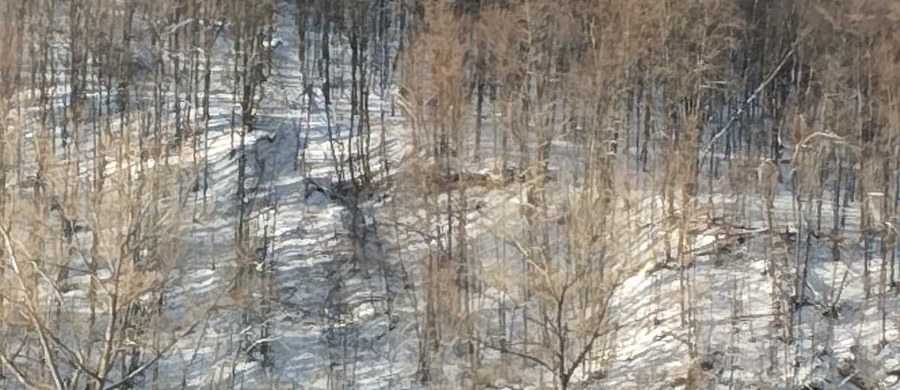 Jezioro Myczkowieckie okazało się jedyną możliwą drogą ewakuacji 40-latka, który zgubił się podczas przebieżki w lesie w okolicy Polańczyka. Mężczyzna dotarł do miejsca, do którego nie prowadzi żadna droga lądowa i stracił orientację.