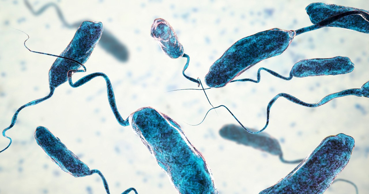 Naukowcy odkryli sposób na groźną chorobę? Wystarczy jedna rzecz