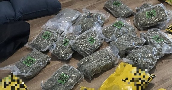 Prawie 70 kilogramów narkotyków, głównie marihuanę i amfetaminę, przejęli policjanci z Kielc. Za kratki trafił 32-latek podejrzany o ich wprowadzanie do obrotu. Mężczyźnie grozi nawet 12 lat więzienia.