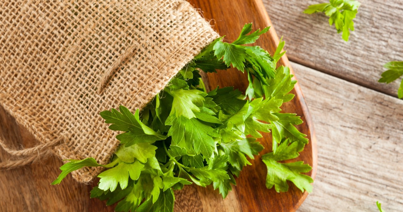 Polacy ją kochają, dodają do rosołu. Wygrała ranking najbardziej trujących