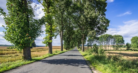 Ponad 50 milionów euro trafi na rozwój obszarów wiejskich w Zachodniopomorskiem. To środki unijne z nowej perspektywy. Trafią do Lokalnych Grup Działania, które w środę podpisały umowy na ich wykorzystanie.