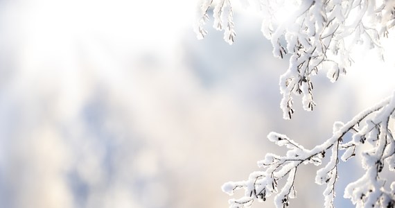 pogodowy armagedon w Finlandii. Z powodu obfitych opadów śniegu w Helsinkach zawieszone zostało kursowanie ponad 100 linii autobusowych i niektórych tramwajowych. W czwartek w fińskiej stolicy spadło dodatkowo ok. 20 cm śniegu. W sumie warstwa białego puchu mierzy już ponad 50 cm. Więcej śniegu, powyżej 60 cm, jest tylko w Laponii.