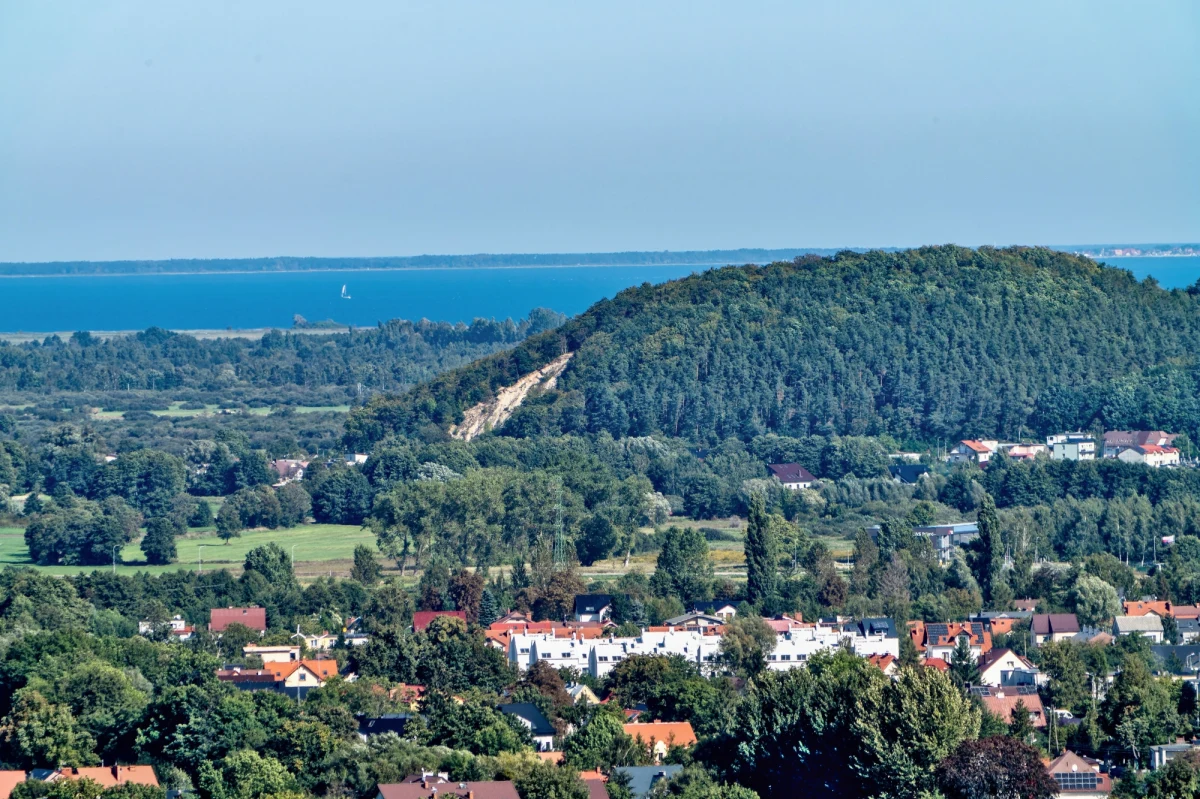 Jest zawiadomienie o podejrzeniu popełnienia przestępstwa przy sprzedaży przez Lasy Państwowe mieszkań w Gdyni. Chodzi o wystawienie na sprzedaż trzech lokali w atrakcyjnej okolicy. Jedno z nich za rażąco niską cenę nabył brat prezesa Orlenu, pracujący w Lasach Państwowych - Bartłomiej Obajtek.