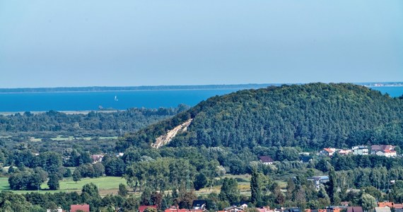 Jest zawiadomienie o podejrzeniu popełnienia przestępstwa przy sprzedaży przez Lasy Państwowe mieszkań w Gdyni. Chodzi o wystawienie na sprzedaż trzech lokali w atrakcyjnej okolicy. Jedno z nich za rażąco niską cenę nabył brat prezesa Orlenu, pracujący w Lasach Państwowych - Bartłomiej Obajtek.