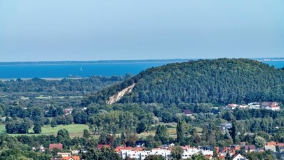 Dyrektor Lasów Państwowych składa zawiadomienie ws. sprzedaży mieszkań w Gdyni