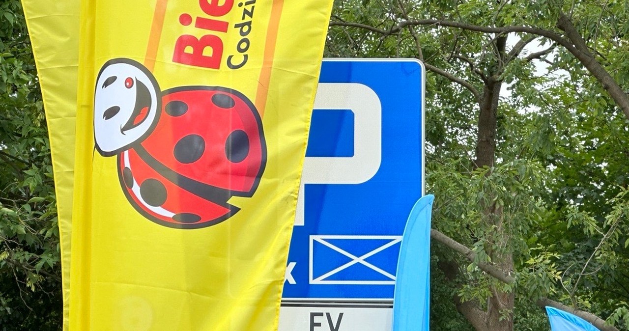 5 tys. zł mandatu dla właścicieli aut spalinowych. Wystarczy źle zaparkować