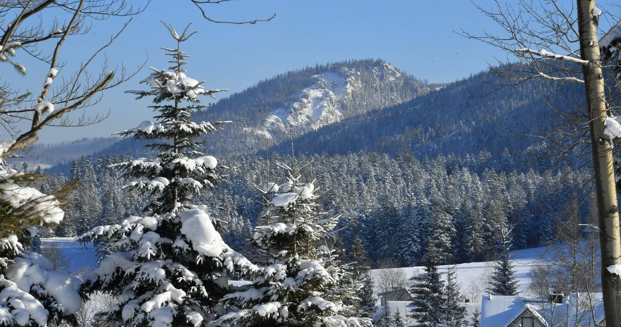  Nowe, ulubione miasto arabskich turystów. Zakopane już się znudziło?