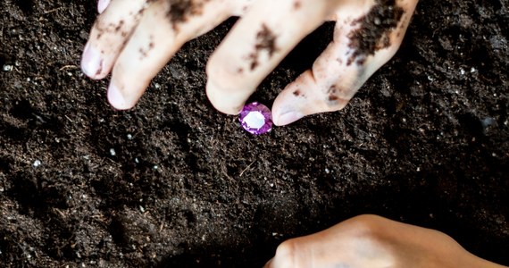 Francuski turysta znalazł ponad 7-karatowy diament w Parku Stanowym Krater Diamentów w Arkansas. Julien Navas z Paryża chce zrobić z niego prezent dla narzeczonej i córki. Jest to piąty diament znaleziony w tym roku na terenie parku.