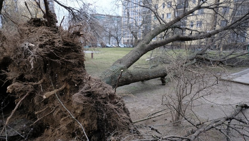  Potężne wichury w całym kraju. Pomarańczowe ostrzeżenia