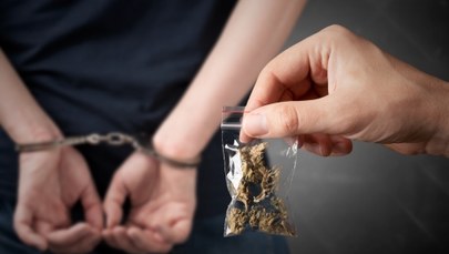 Narkotykowa transakcja w lesie