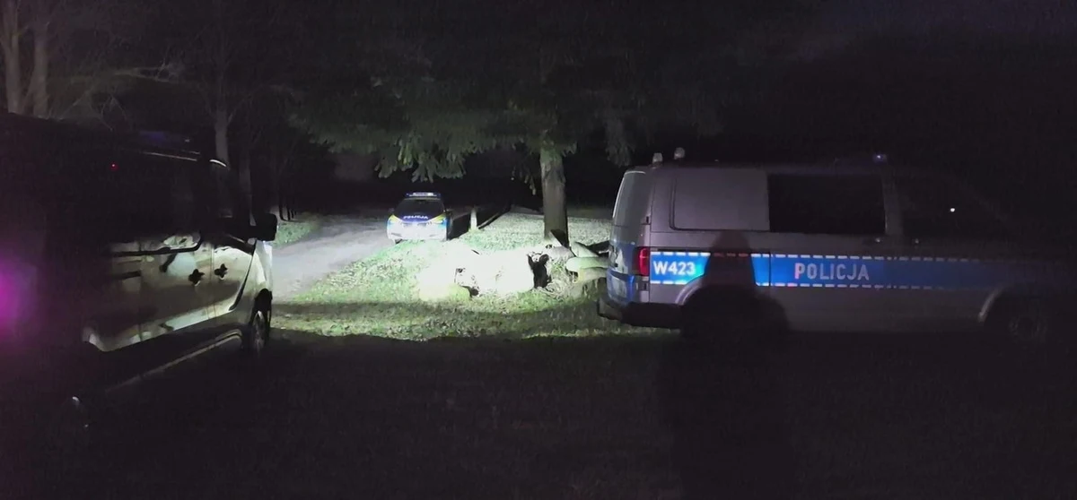 Strażakom i policjantom udało się uratować 3-osobową rodzinę, która zgubiła się w lesie w miejscowości Budzień ( Zachodniopomorskie ) na terenie bagiennym. Kobieta, mężczyzna i 15-letnie dziecko nie mogli się ruszyć z miejsca, utrzymywali się na powierzchni, stojąc na gałęziach. Na szczęście pomoc nadeszła w odpowiednim momencie. 