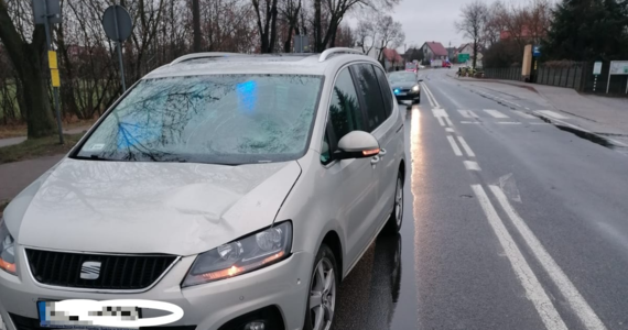 Policja w Jarocinie ustala okoliczności i szuka świadków śmiertelnego potrącenia, do którego doszło wczoraj w miejscowości Cielcza. Na przejściu dla pieszych zginął 17-latek, który został uderzony przez dwa samochody. Jego ciało znaleziono 1,5 kilometra dalej.