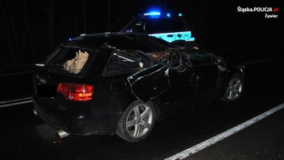Na auta przewróciło się drzewo, mężczyzna został ranny 