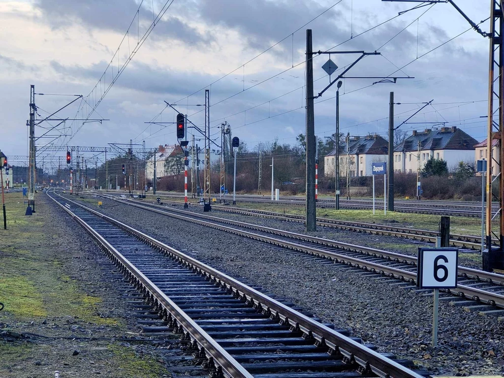 Decyzyjność w sprawie lokalnych połączeń kolejowych mają wojewódzkie samorządy