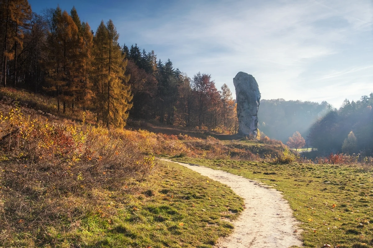 Otwarto wszystkie szlaki turystyczne oraz parking w Ojcowskim Parku Narodowym (OPN). Wcześniej były one zamknięte dla odwiedzających z powodu znacznego oblodzenia i opadów deszczu.