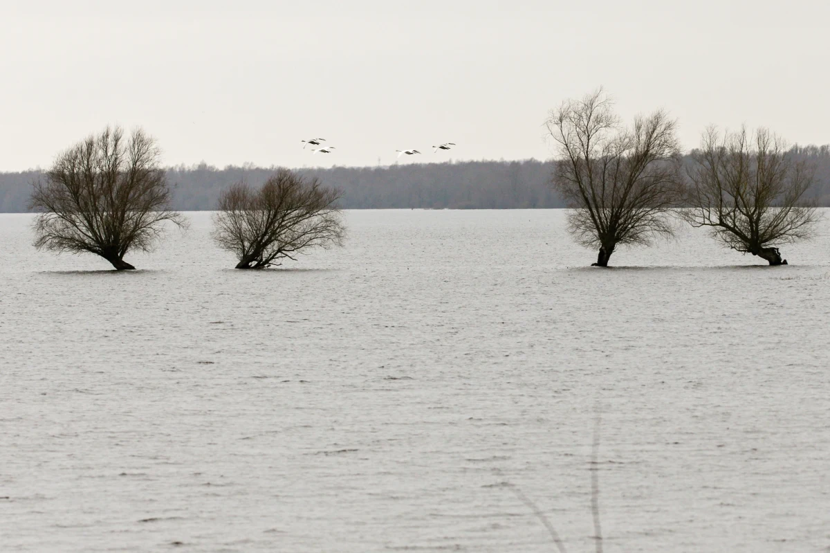 Ostrzeżenia hydrologiczne najwyższego, trzeciego stopnia obowiązują na rzekach w siedmiu województwach. Poziom wody gwałtownie podniósł się przez roztopy i ostatnie opady deszczu.