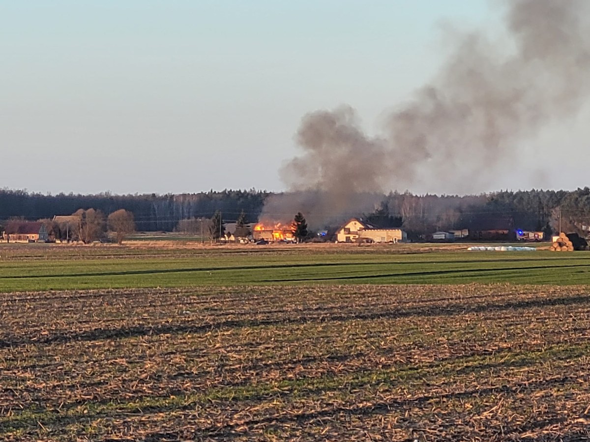 Na prawie 400 tys. zł oszacowano straty spowodowane pożarem domu i budynku gospodarczego w Tarchałach Małych. Rodzina z trojgiem małych dzieci straciła dorobek swojego życia. Na razie schroniła się u najbliższych.