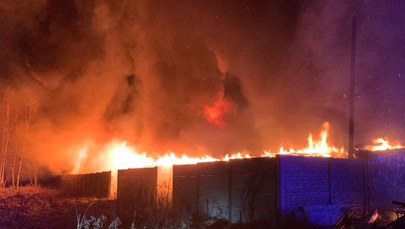 Pożar hali w Rudzie Śląskiej. Podczas akcji gaśniczej zawalił się dach