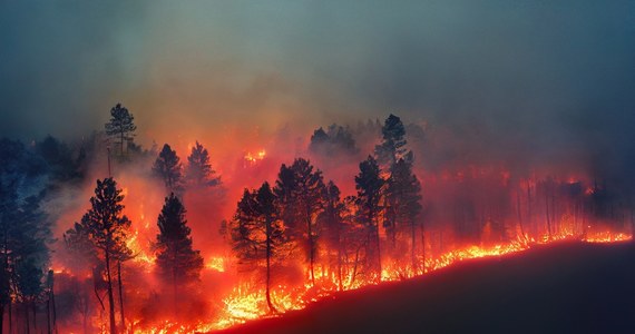 Prezydent Kolumbii Gustavo Petro wprowadził na 12 miesięcy stan klęski żywiołowej na całym terytorium w związku z licznymi pożarami lasów i fenomenem El Nino. Z oficjalnych danych wynika, że w niedzielę lasy płonęły w 13 miejscach w kraju.