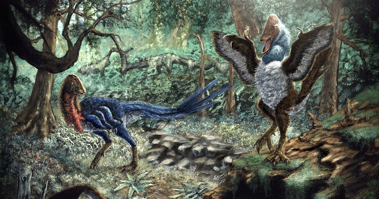 Czy dinozaury zachwycały barwami? Przełomowe badania wzbudzają emocje