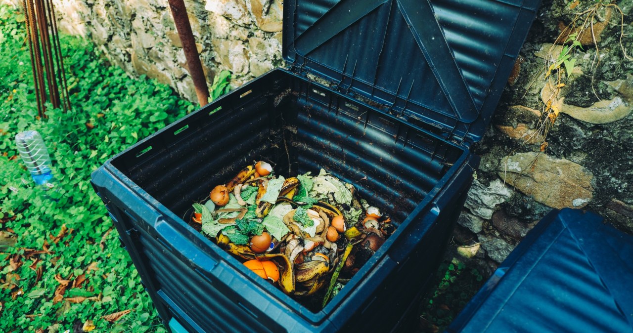 Ruszyły kontrole kompostowników. Można stracić istotną ulgę