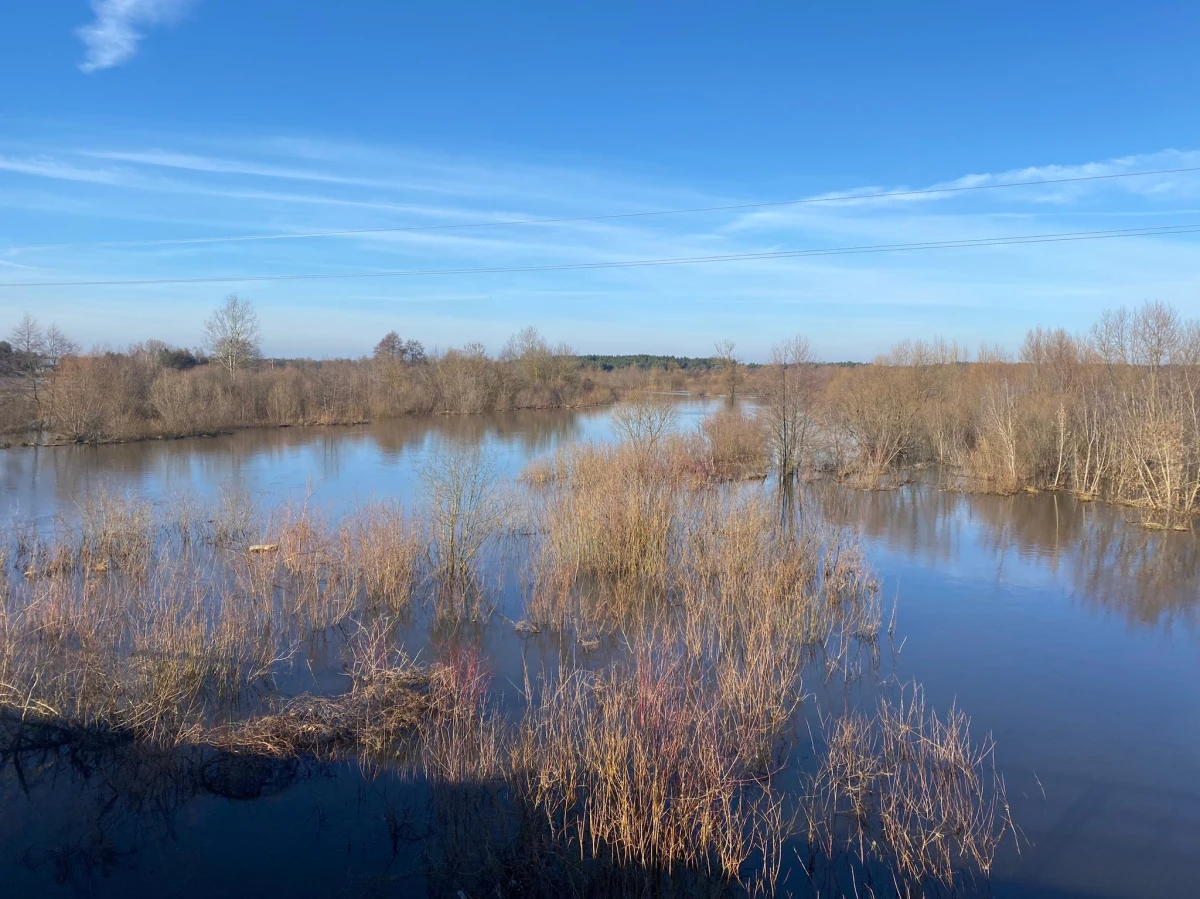 Wylewający Liwiec niepokoi mieszkańców Kamieńczyka niedaleko Wyszkowa. Ta niewielka, będąca dopływem Bugu rzeka wylała na pobliskie pola. Woda podchodzi niebezpiecznie blisko posesji. 