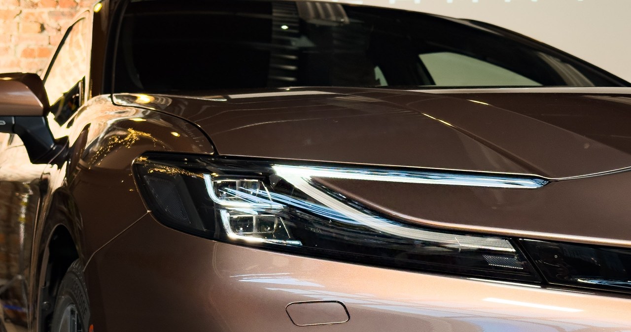 Rozgromiła rywali w sieci. Najczęściej wyszukiwana marka globu