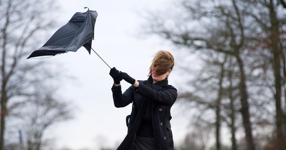 Rano mogą nas czekać mgły, a w ciągu dnia 8 lub nawet 10 stopni Celsjusza i silny wiatr. Instytut Meteorologii i Gospodarki Wodnej (IMGW) podał prognozę pogody na najbliższy tydzień.