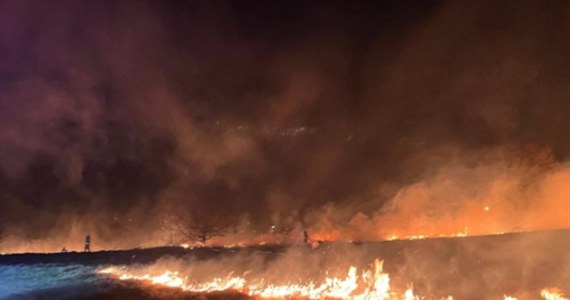 Strażacy ugasili pożar obejmujący 9 hektarów nieużytków rolniczych w rejonie Zawidowa koło Zgorzelca na Dolnym Śląsku. Nie ma informacji o osobach poszkodowanych.