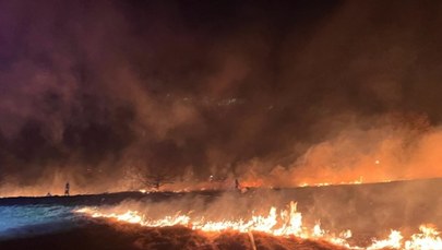 Pożar 9 hektarów nieużytków przy granicy z Czechami