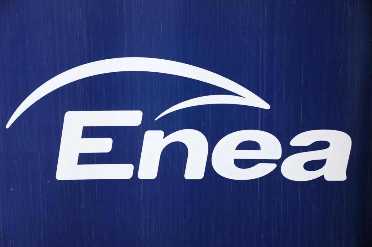 Personalna karuzela stanowisk w państwowych spółkach. Pracę mają tracić ludzie Prawa i Sprawiedliwości, bo spółki przejmuje teraz nowa ekipa. Na pierwszy ogień pójdzie poznańska Enea.
