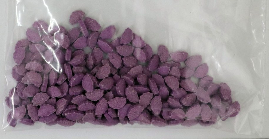 /Policja Zachodniopomorska /Policja