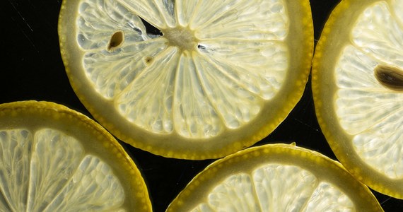 To chyba najdroższa cytryna w historii wszystkich cytryn. Na aukcji w Wielkiej Brytanii suszony owoc cytrusowy sprzed 285 lat sprzedano za 1400 funtów.