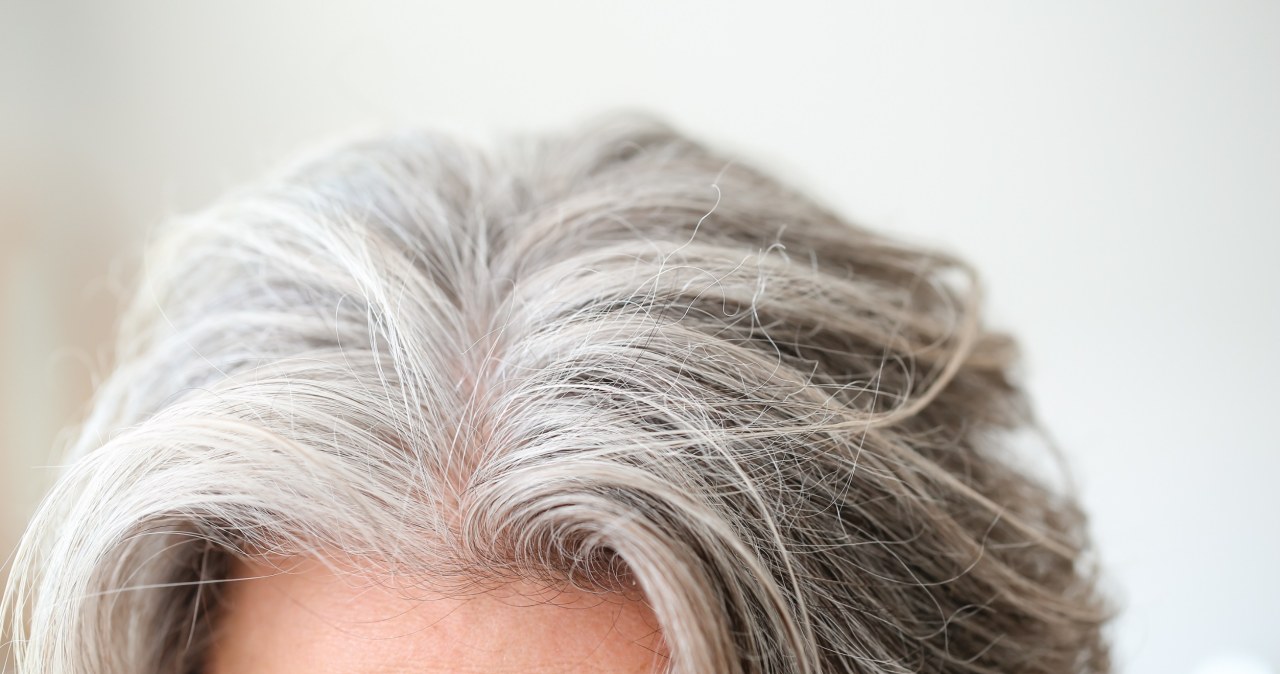 Siwe włosy nie muszą postarzać. Naturalny trik, który przyciemnia pasma