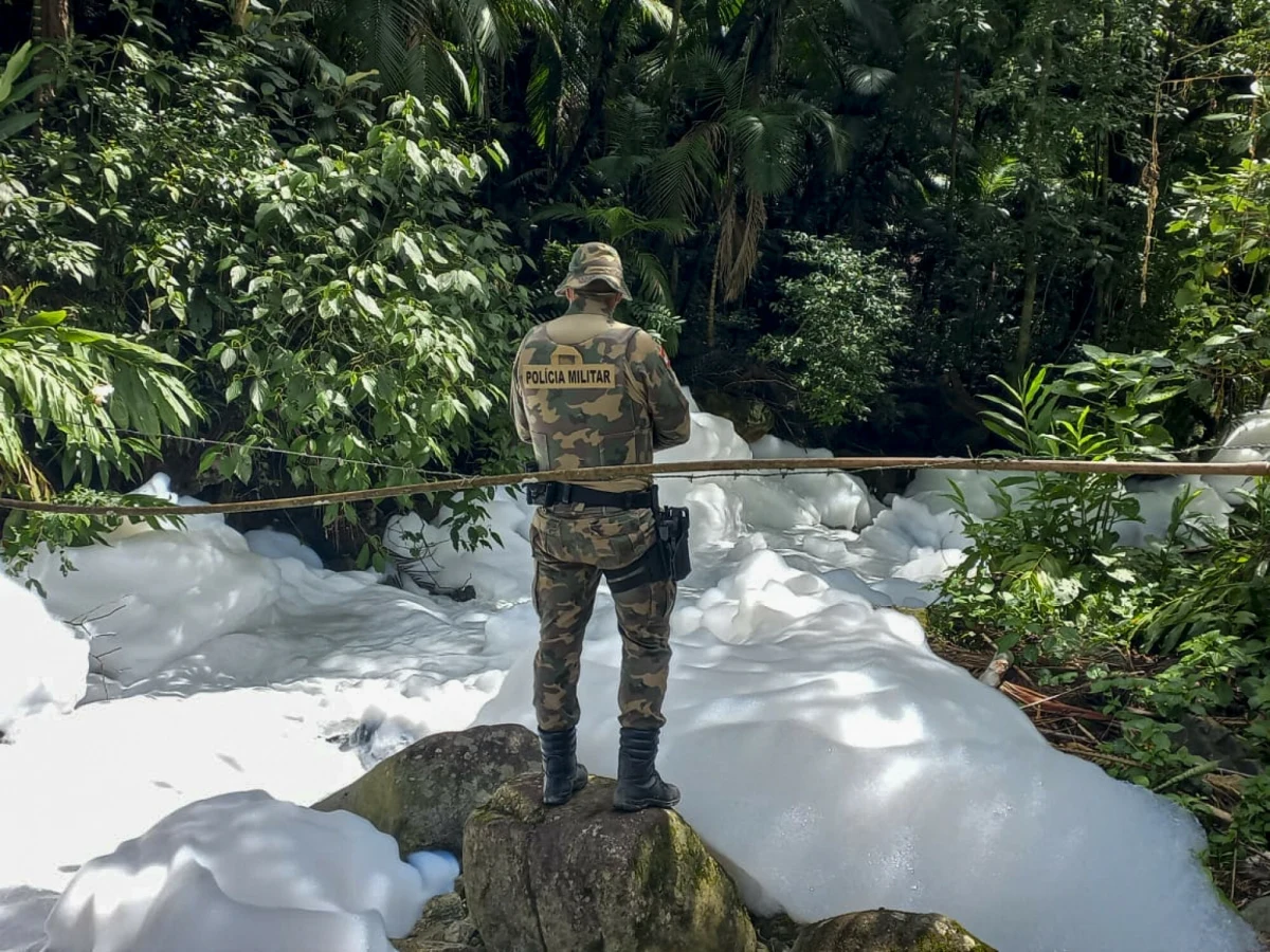 W rzekach stanu Santa Catarina, na południowym wschodzie Brazylii, pojawiły się duże ilości białej piany. To skutek skażenia wody kwasem sulfonowym - przekazały władze regionu. Szkodliwy dla człowieka związek chemiczny był przewożony przez ciężarówkę, która uległa wypadkowi. 