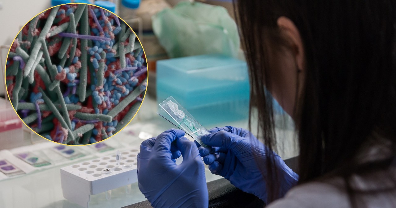 Tego testu na substancje nie da się oszukać. Wykrywalność po latach