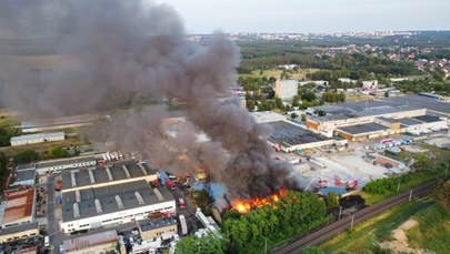 Gigantyczne skażenie po pożarze w Zielonej Górze. Szokujące ustalenia biegłych