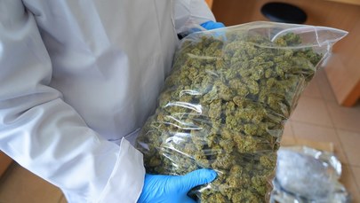 Policjanci znaleźli 6 kg marihuany. To miała być rutynowa kontrola