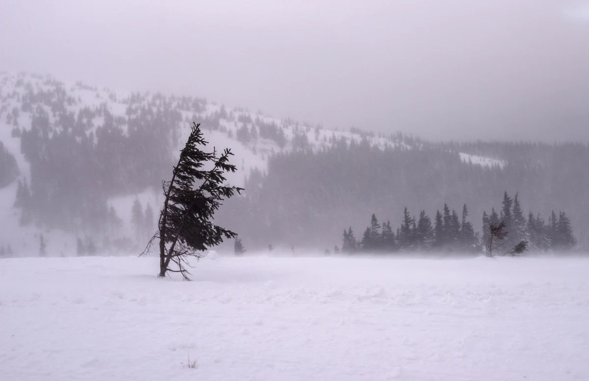 Przez Norwegię przechodzi orkan Ingunn, to najsilniejszy huragan od 30 lat. Siła wiatru na północnym-zachodzie kraju osiągnęła 51,5 metra na sekundę (185 kilometrów na godzinę). Żywioł wyrywa dachy oraz wybija szyby w oknach.