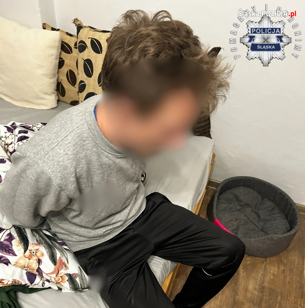 Śląscy „łowcy głów” zatrzymali mężczyznę, który był ścigany za przestępstwa o charakterze pedofilskim. Sprawca wielokrotnie wykorzystał dziewczynkę, której wiek nie przekraczał 15 lat oraz namawiał ją do prostytucji, ułatwiając ten proceder. Dodatkowo przekazywał jej narkotyki. Dzięki , między innymi współpracy z duńską policją, śledczy zatrzymali w Częstochowie zaskoczonego 31-latka który, decyzją sądu spędzi najbliższe 2 lata i 7 miesięcy za kratami.